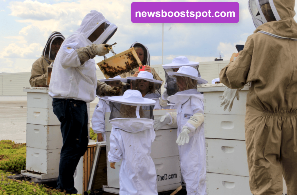 Lappe’s Bee Supply Demystified: What You Need to Know