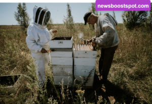 Where Can I Buy Italian Honey Bee Queen Bees Lappe’s Bee Supply